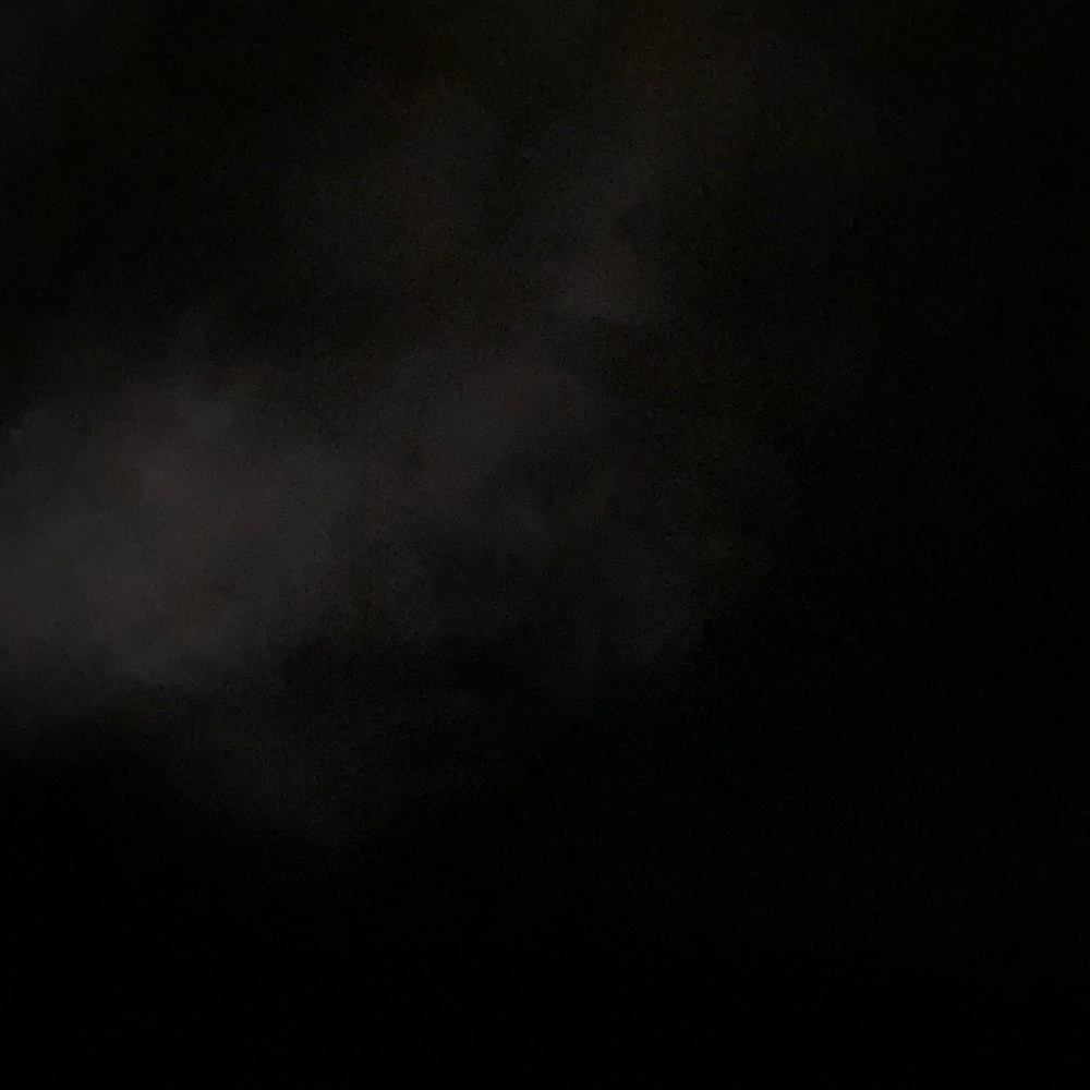 Meet your Posher, BronxGurl